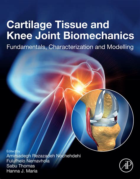 biomechanics testing machine for knee bending|BioRobotics & Mechanical Testing Core .